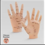 Anatomik Akupunktur El - parmak Maketi - Seçilebilir Noktalar
